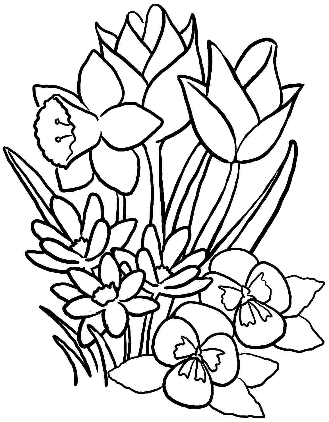 Раскраски цветы для взрослых. Раскраска 5