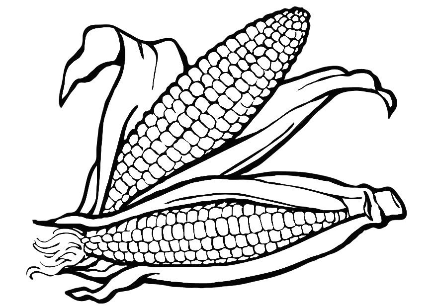 Раскраска Кукуруза. Раскраска 1