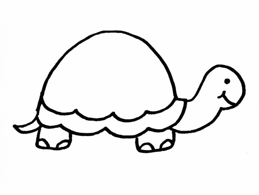 Раскраска Черепаха. Раскраска 10