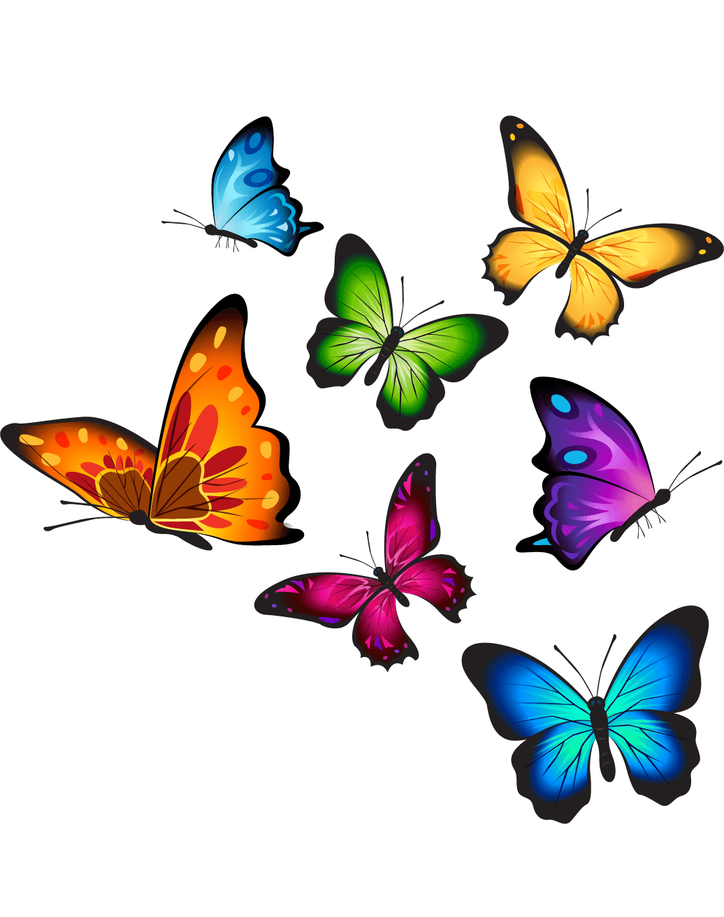 Раскраска Бабочки