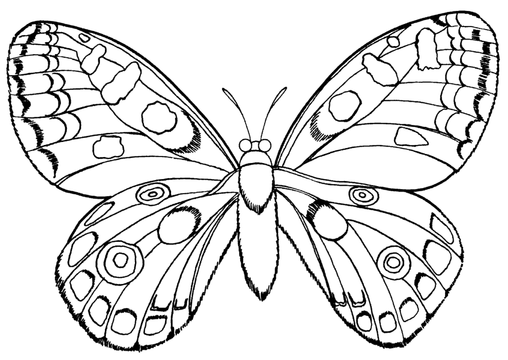 Раскраска Бабочки. Раскраска 1