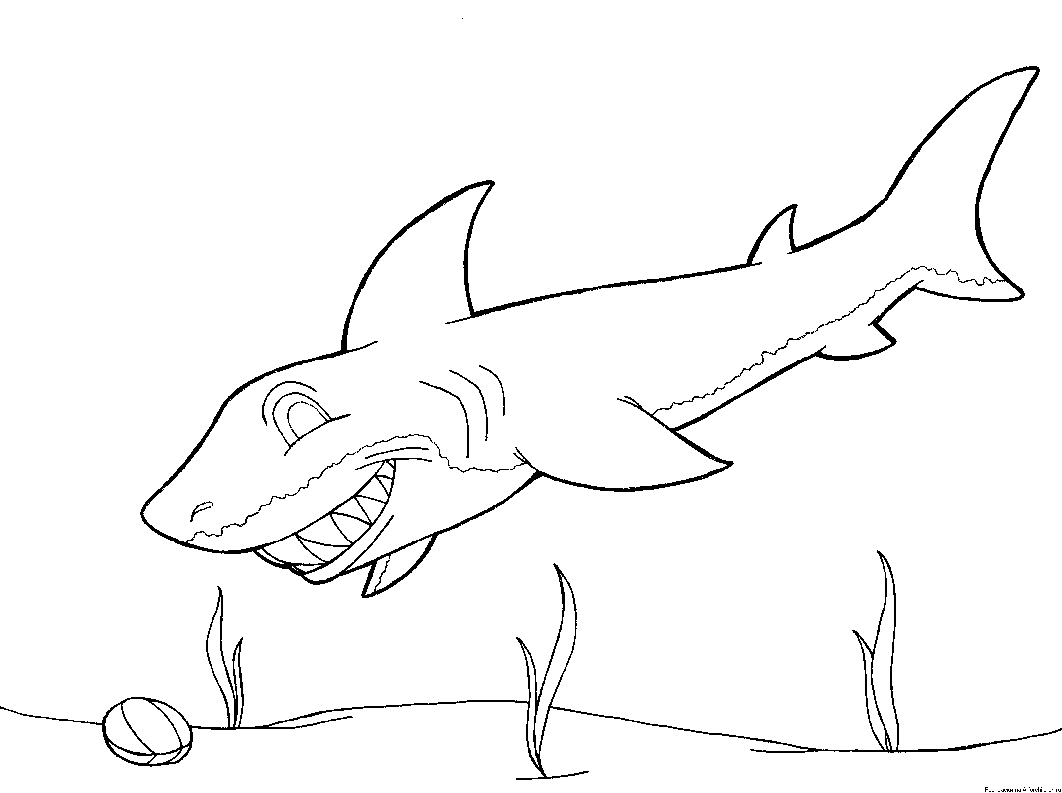 Раскраска Акула. Раскраска 21