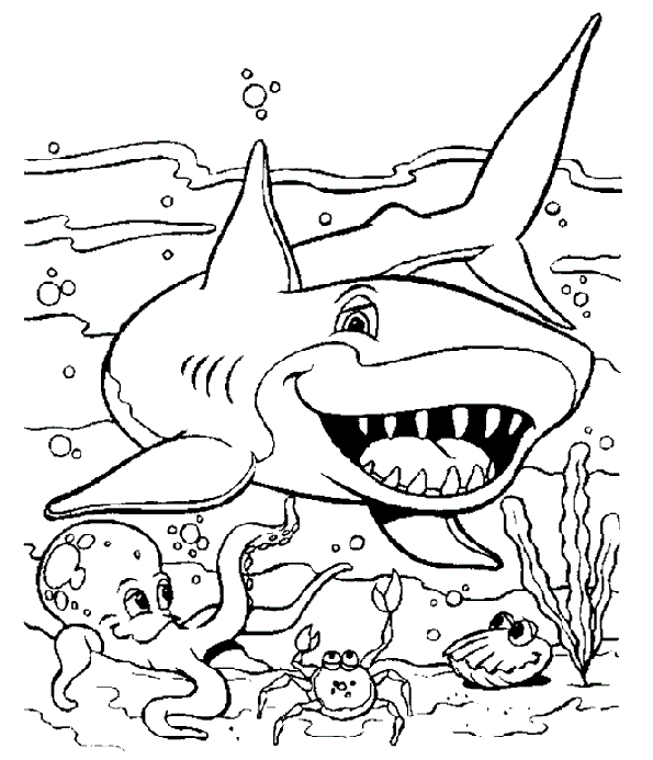 Раскраска Акула. Раскраска 15