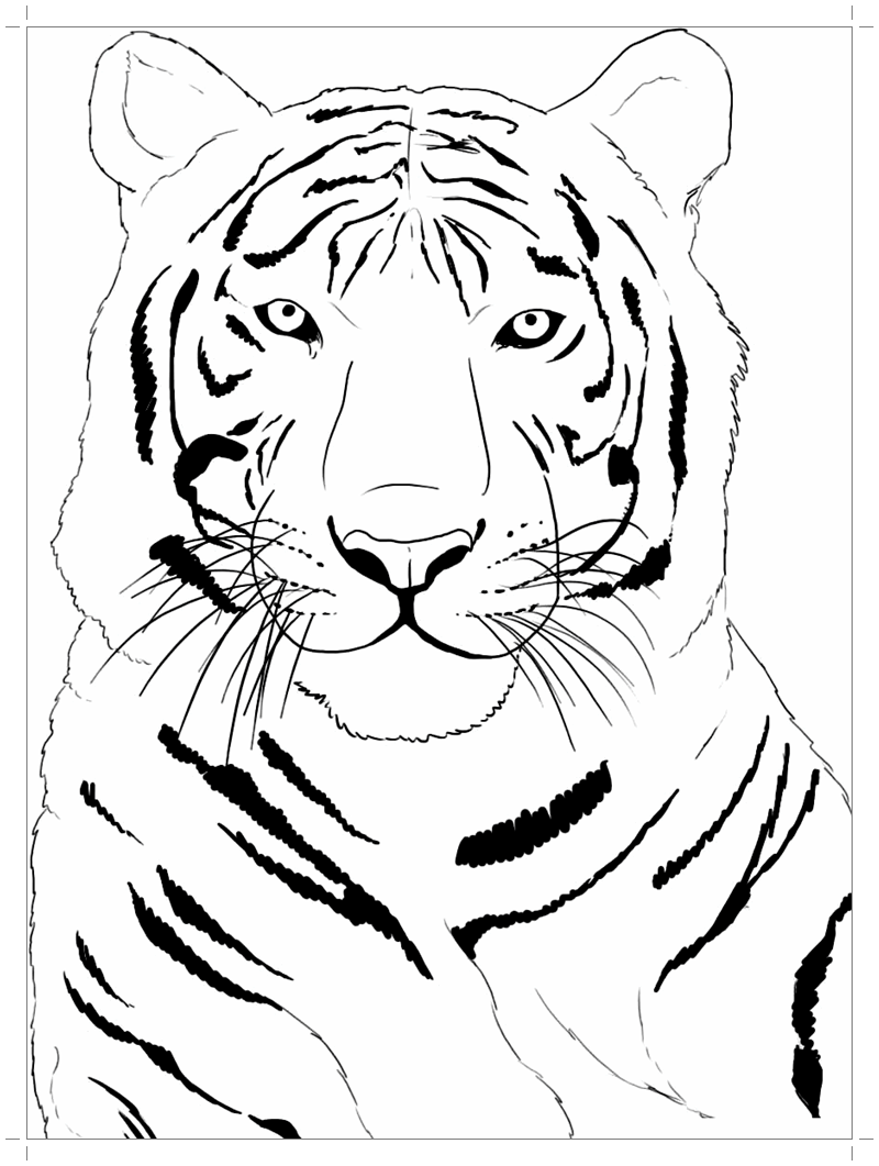 Раскраска Тигр. Раскраска 1