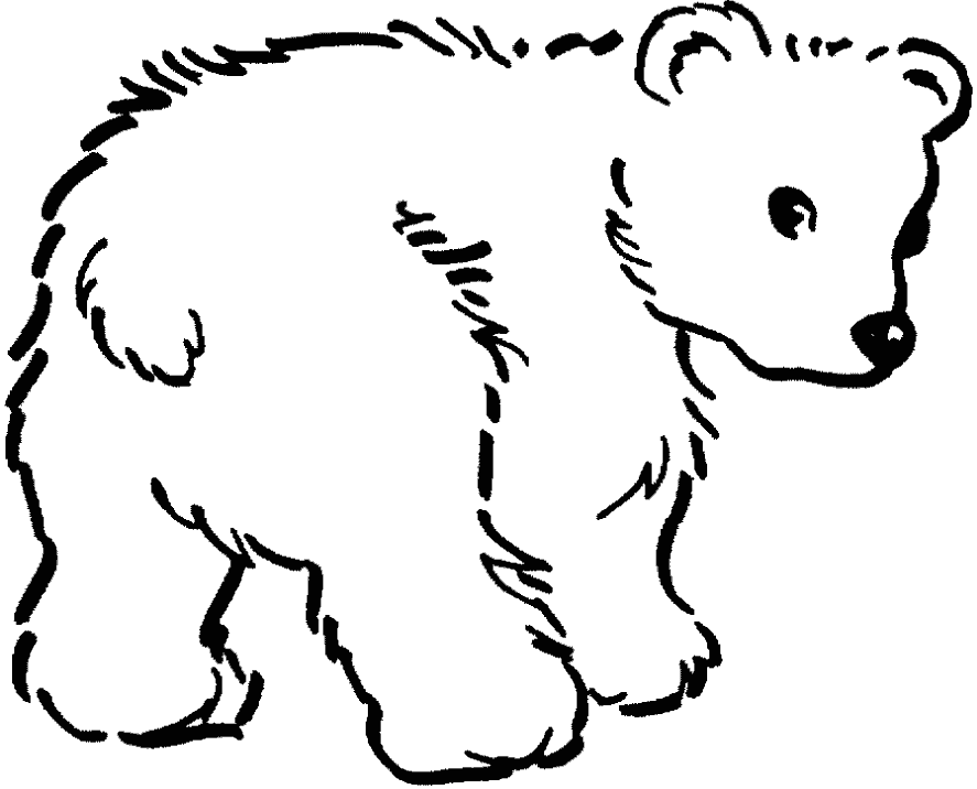 Раскраска Медведь. Раскраска 1
