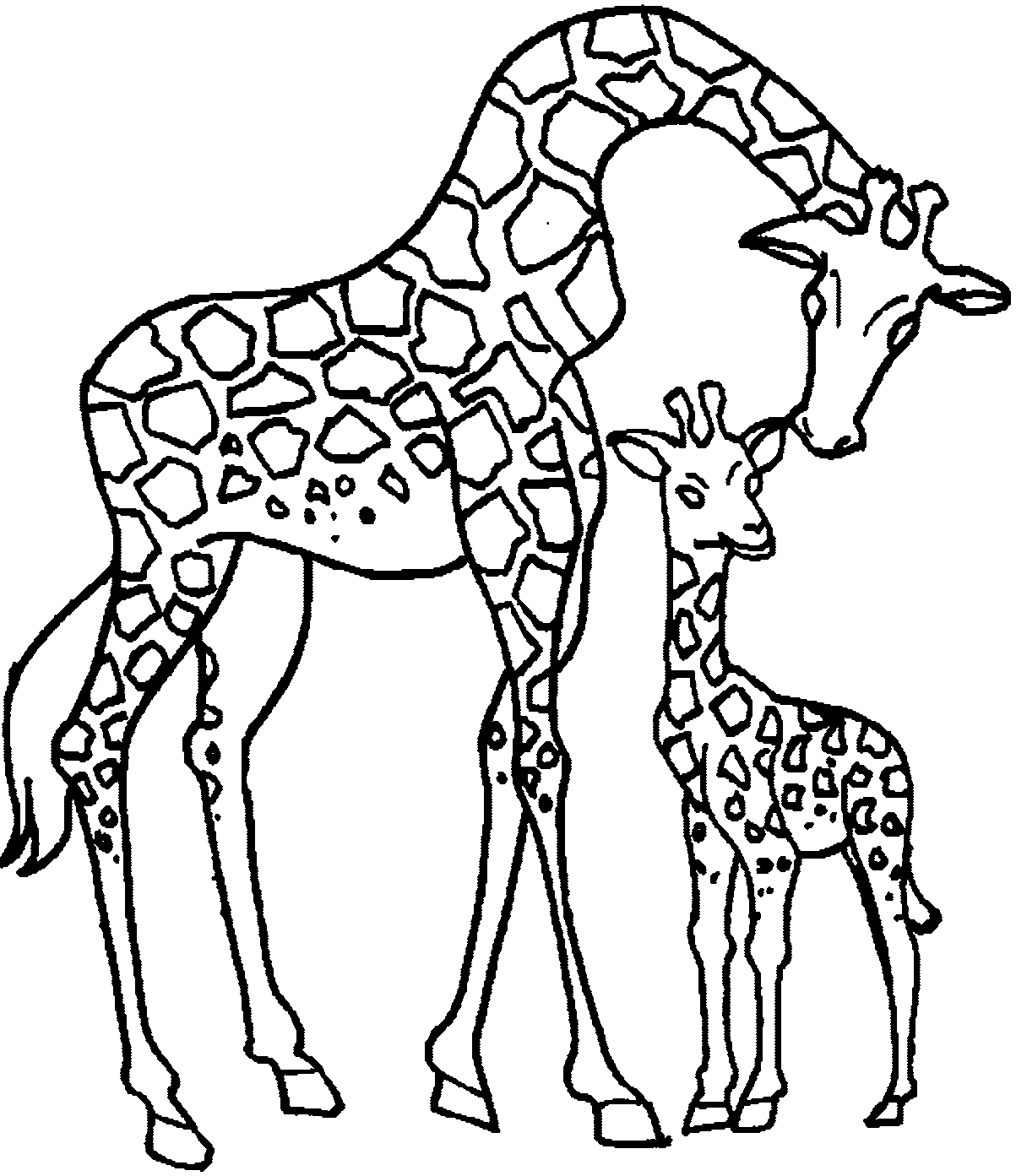 Раскраска Жираф. Раскраска 13