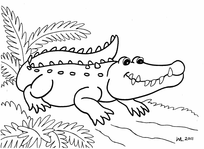 Раскраска Крокодил. Раскраска 3