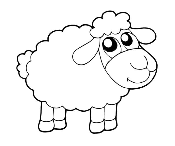 Раскраска Овца. Раскраска 2