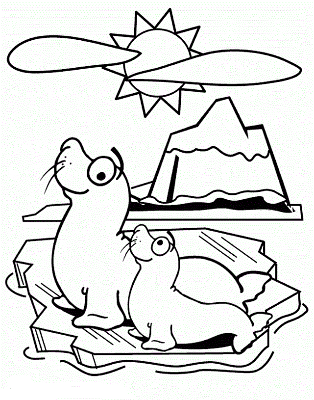Раскраска Морской Котик. Раскраска 10