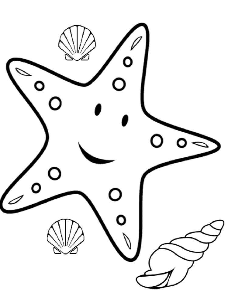 Раскраска Морская звезда. Раскраска 7