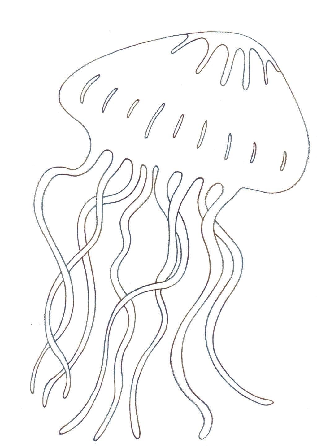 Раскраска Медуза. Раскраска 2
