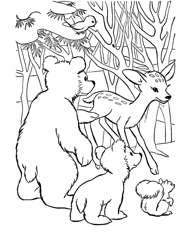 Раскраска Лесные животные. Раскраска 9