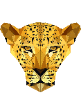 Раскраска Леопард. Раскраска 4