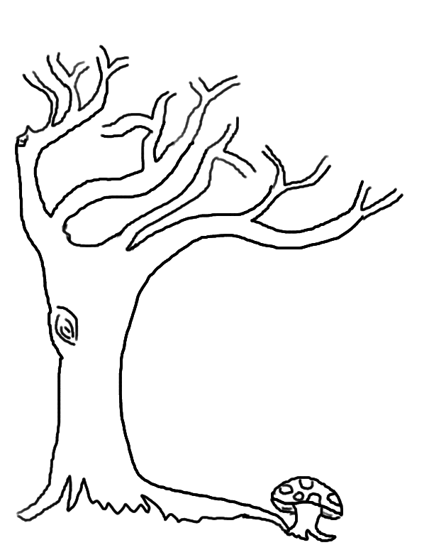 Раскраска Дерево без листьев. Раскраска 3
