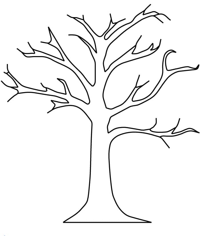 Раскраска Дерево без листьев. Раскраска 4