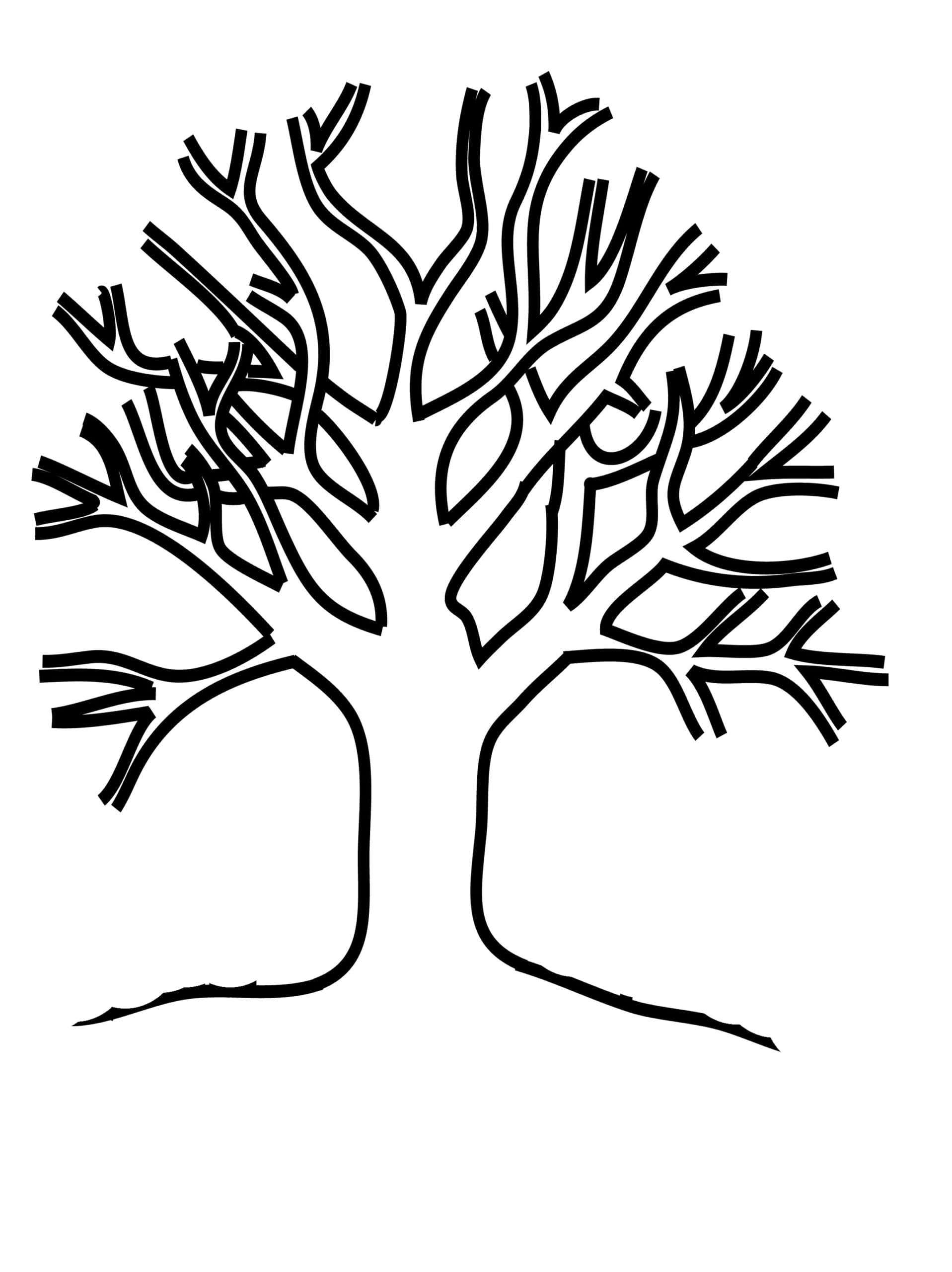 Раскраска Дерево без листьев. Раскраска 5