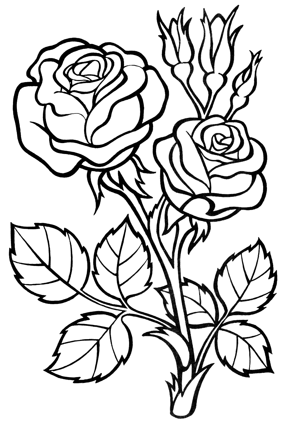 Раскраски Розы. Раскраска 1