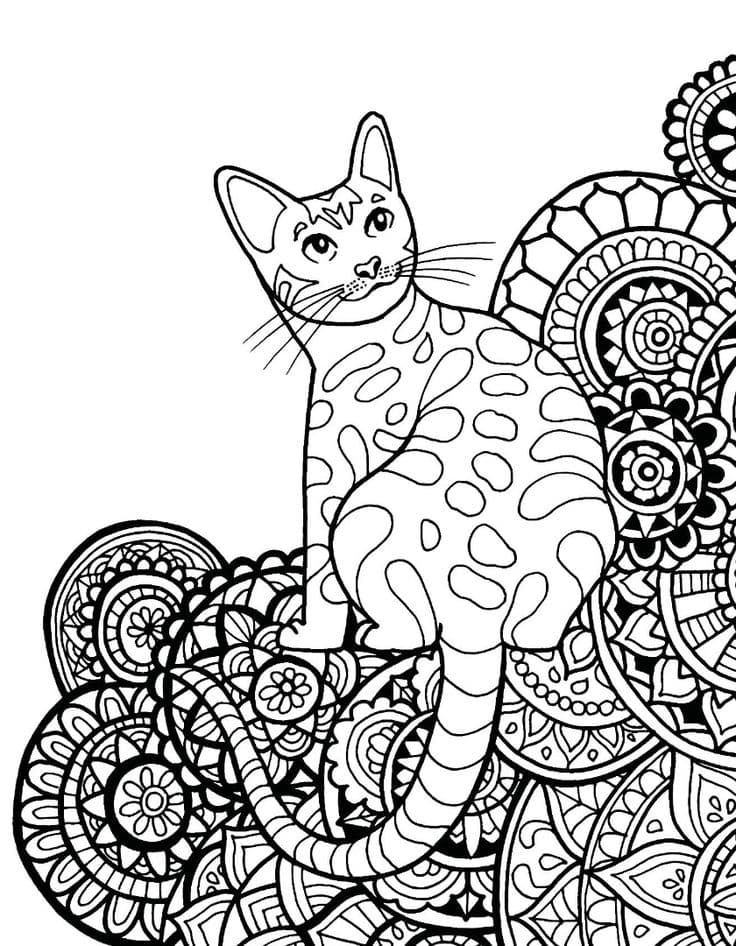 Раскраска антистресс кошка. Раскраска 15